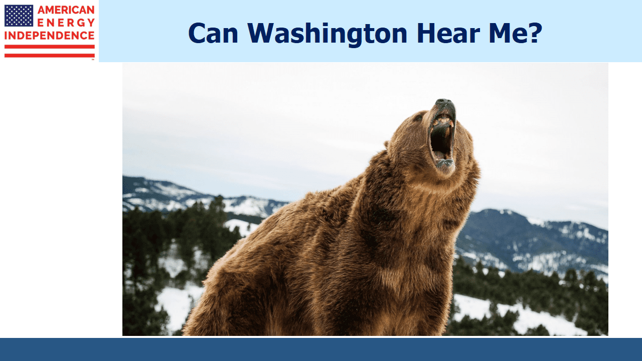 The Bears are Roaring