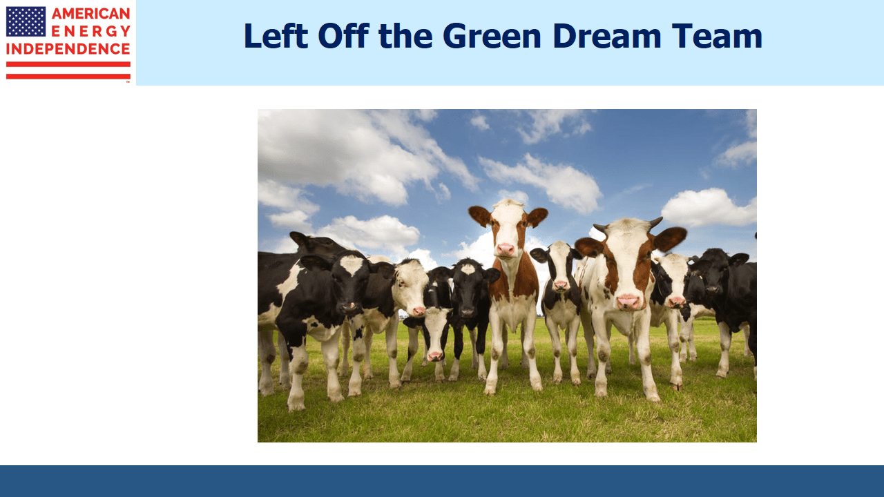 The Green New Deal
