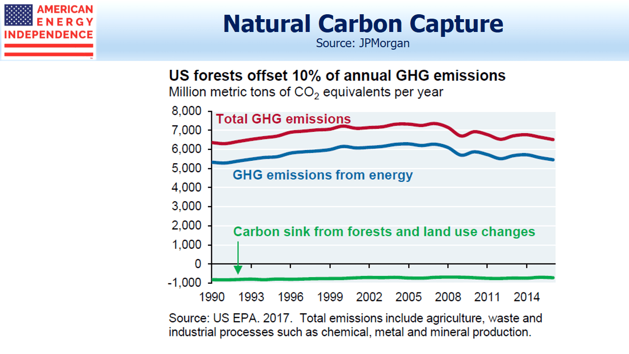Natural Carbon Capture_U.S. Forests